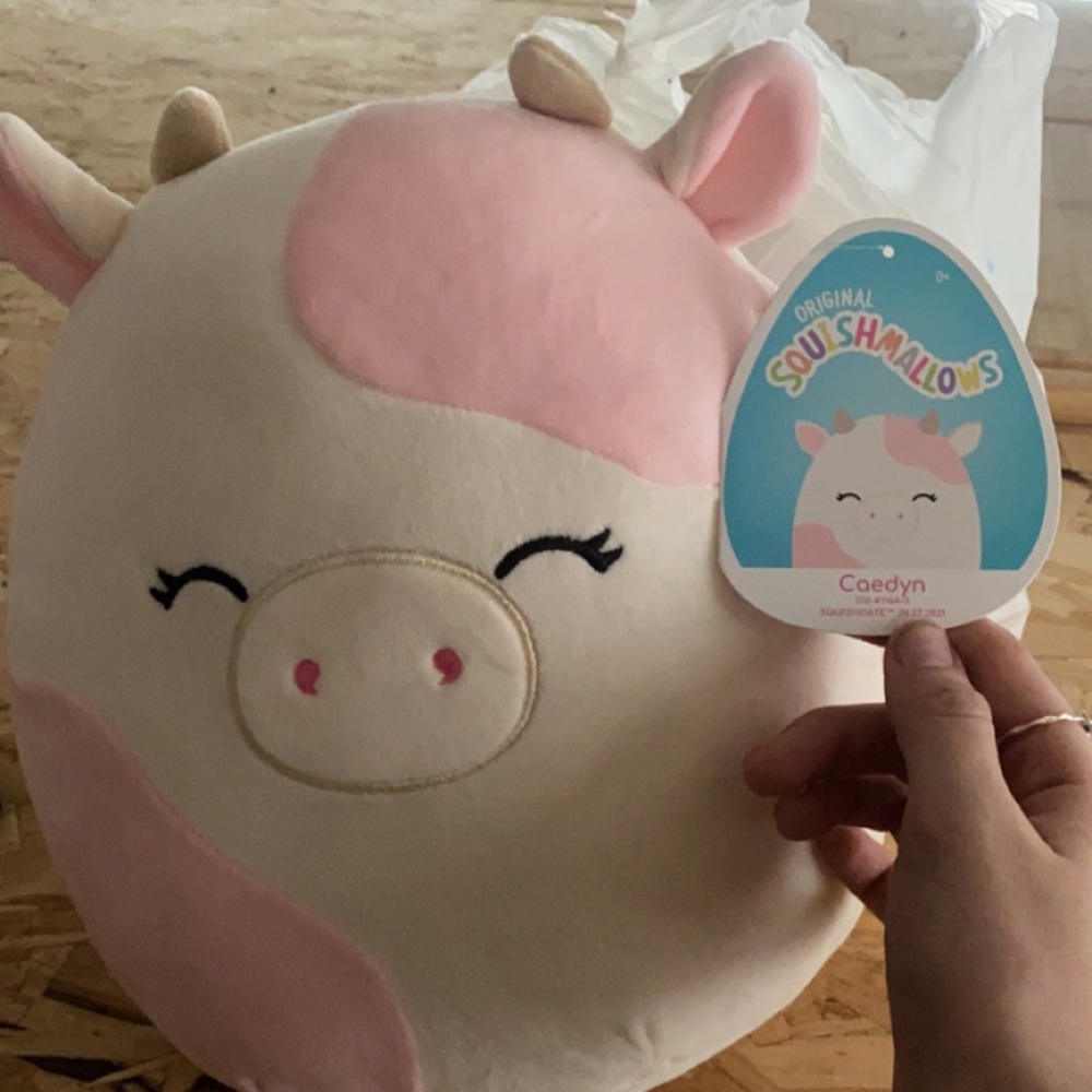 Caeden squishmallow